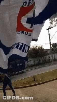 Person Holding Cruz Flag GIF