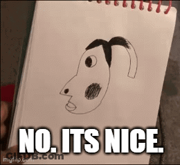 Person Holding Dog Drawing Saying No Its Nice GIF