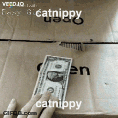 Person Holding Dollar Bill In Front Of Box Saying Easy Catnippy GIF