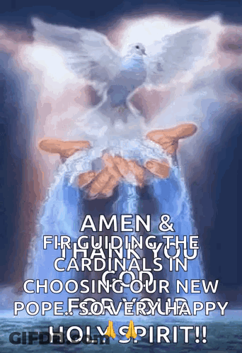Person Holding Dove Amen & Fir Guiding Cardinals Choosing New Pope GIF