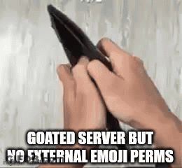 Person Holding Empty Wallet Saying Goated Server But No External Emoji Permits GIF
