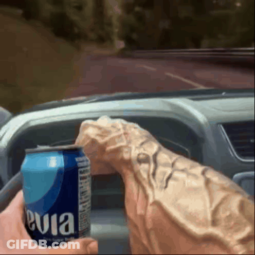 Person Holding Evian Can GIF