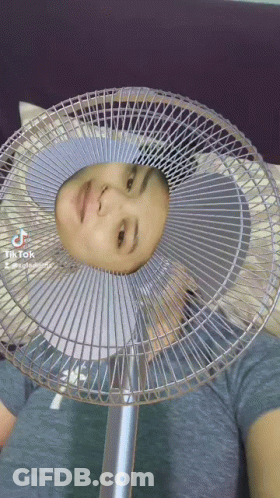 Person Holding Fan With Face In It GIF