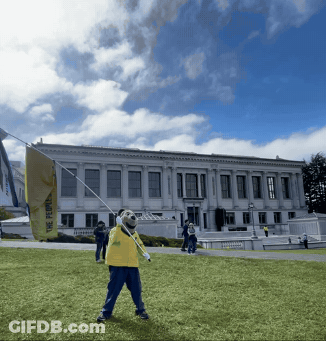 Person Holding Flag Saying The People GIF