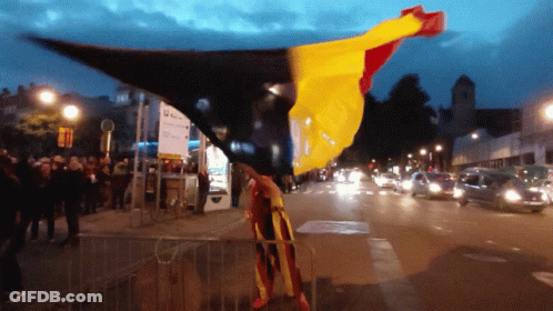 Person Holding Flag With La Galerie Sign GIF