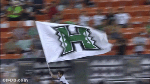 Person Holding Flag With Letter H GIF