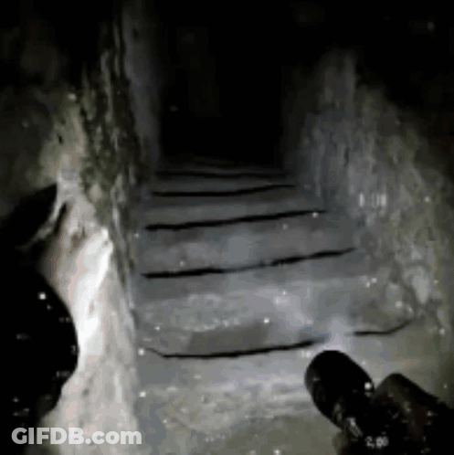 Person Holding Flashlight In Dark Tunnel GIF