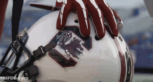 Person Holding Football Helmet With Gloves GIF