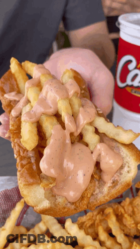 Person Holding Fried Chicken Sandwich With Fries And Coca Cola GIF