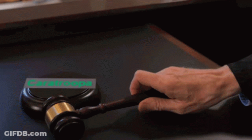 Person Holding Gavel In Front Of Caratroopa Sign GIF