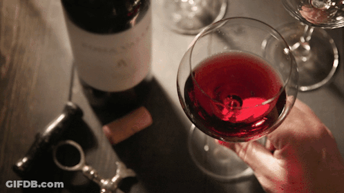 Person Holding Glass Of Red Wine GIF