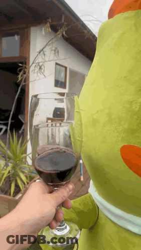 Person Holding Glass Of Red Wine GIF