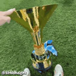 Person Holding Gold Trophy With Blue Ribbon GIF