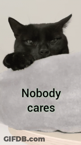 Person Holding Gray Cat With Mouth Open GIF