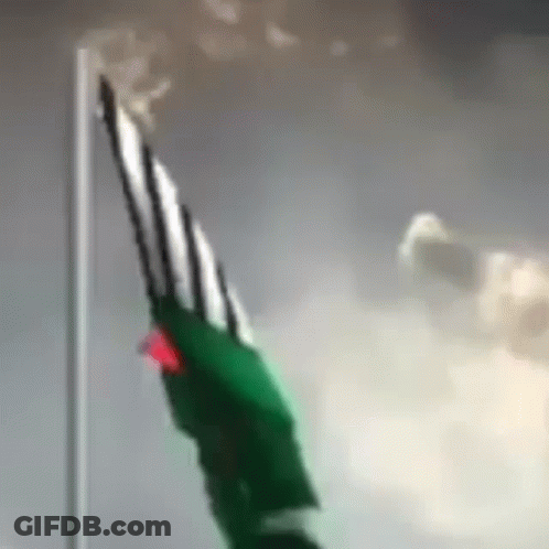 Person Holding Green And White Flag GIF