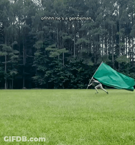 Person Holding Green Flag Ohhh Hes A Gentleman GIF