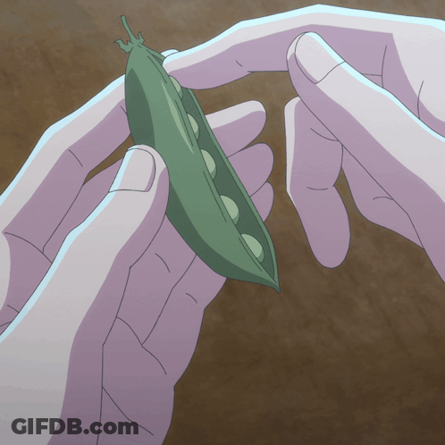 Person Holding Green Peas Pod GIF