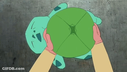 Person Holding Green Turtle With Hole GIF