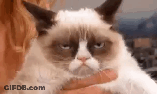 Person Holding Grumpy Cat GIF