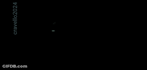 Person Holding Gun 2024 GIF