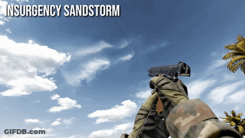 Person Holding Gun Insurgency Sandstorm GIF