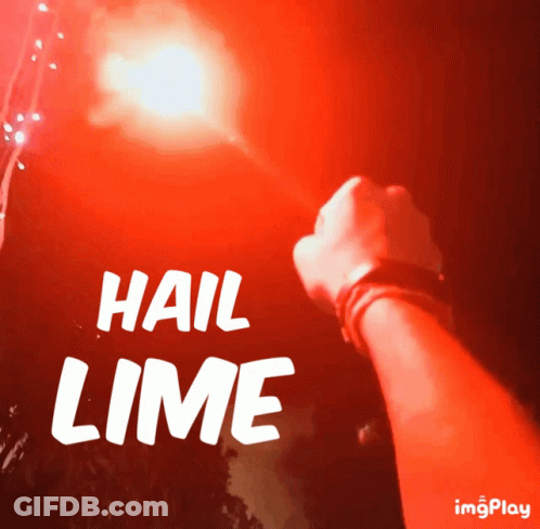 Person Holding Hail Lime Sign GIF