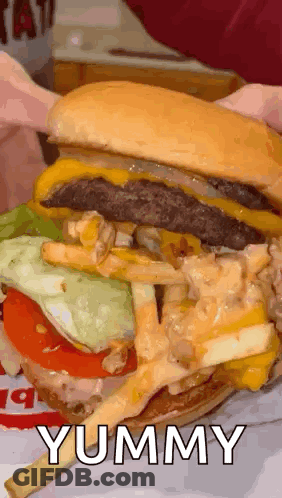 Person Holding Hamburger And Fries Yummy GIF