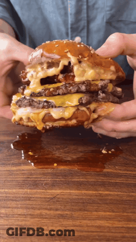 Person Holding Hamburger GIF