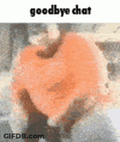 Person Holding Heart Goodbye Chat GIF