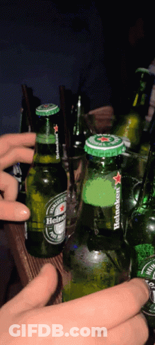 Person Holding Heineken Beer GIF