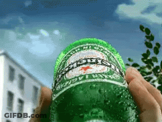 Person Holding Heineken Bottle GIF
