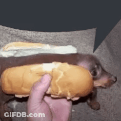 Person Holding Hot Dog GIF