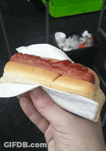 Person Holding Hot Dog With Ketchup GIF