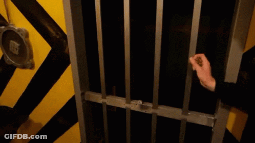 Person Holding Jail Cell Bars GIF