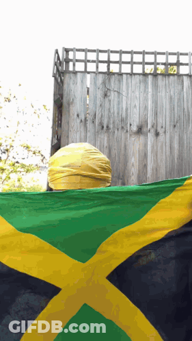 Person Holding Jamaican Flag In Front Of Wooden Wall GIF