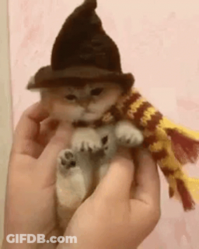 Person Holding Kitten In Hat And Scarf GIF