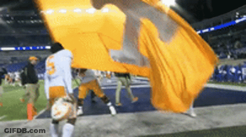 Person Holding Large Orange Flag With T GIF