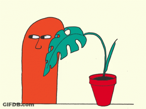 Person Holding Leaf Over Potted Plant GIF