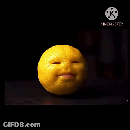 Person Holding Lemon Slice In Front Of Smiley Lemon GIF