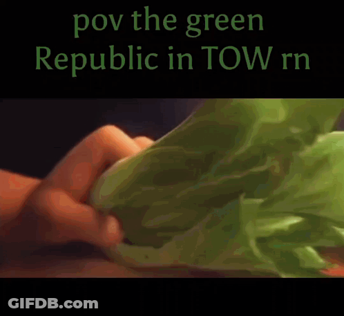 Person Holding Lettuce POV The Green Republic In Tow Rn GIF