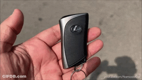 Person Holding Lexus Car Key GIF