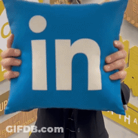 Person Holding LinkedIn Pillow GIF