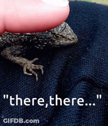 Person Holding Lizard Saying There There GIF