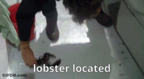 Person Holding Lobster On Ground GIF