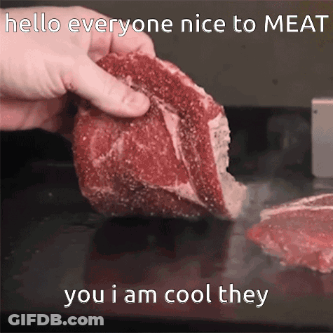 Person Holding Meat Saying Hello Nice To Meat You GIF