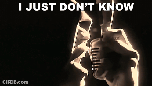 Person Holding Microphone I Just Don't Know GIF