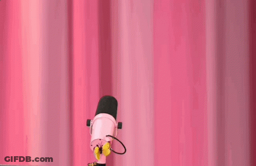 Person Holding Microphone In Front Of Pink Curtain GIF