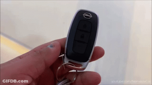Person Holding Nissan Key GIF