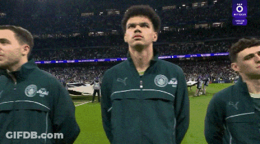 Person Holding Norwegian Flag On Field GIF