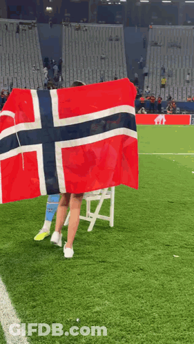 Person Holding Norwegian Flag On Field GIF